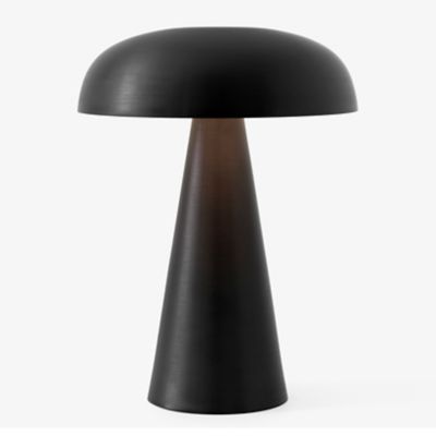 Stylish Battery-Operated Table Lamp: It's Small and Portable