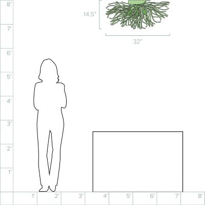 Lumens/TRYP161134_sd_08a