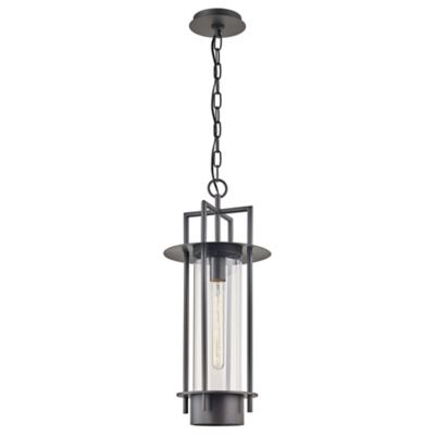 Carroll Park Outdoor Pendant