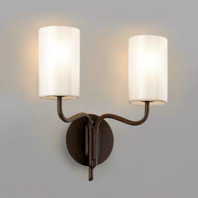 Juniper Vanity Light