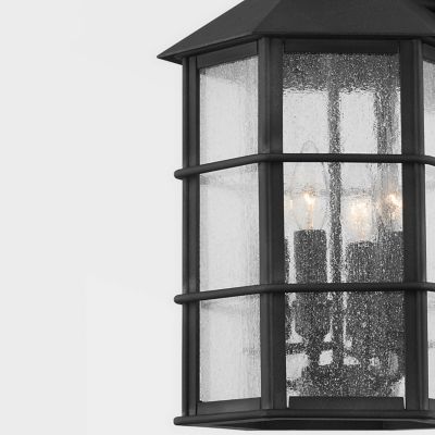 Lake County Outdoor Wall Sconce