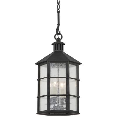 Lake County Outdoor Pendant