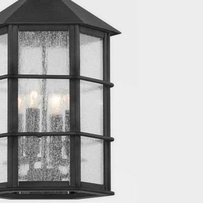 Lake County Outdoor Pendant