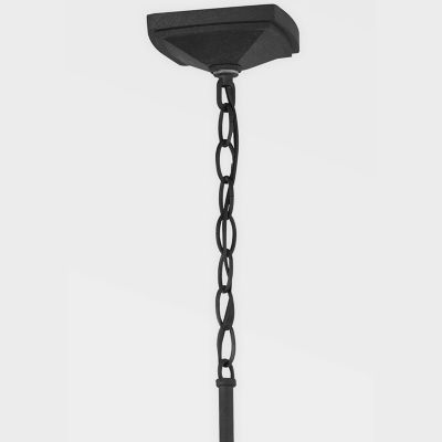 Lake County Outdoor Pendant