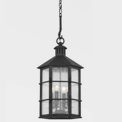 Lake County Outdoor Pendant