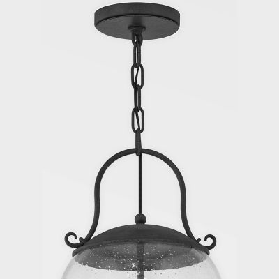 Napa County Outdoor Pendant