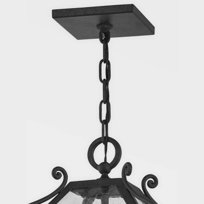 Santa Barbara County Outdoor Pendant