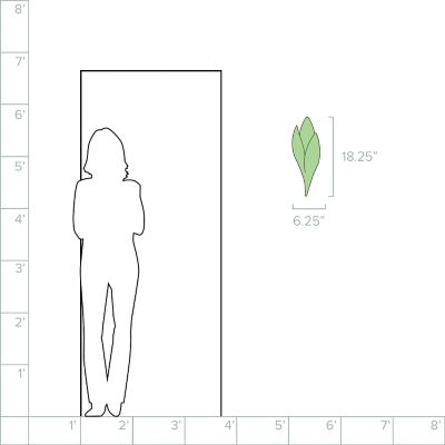 Lumens/TRYP525911_sd_08b