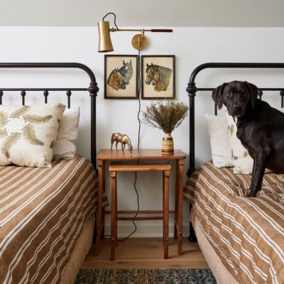 Novel Plug-In Wall Sconce