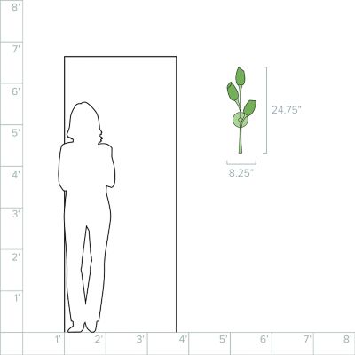 Lumens/TRYP533517_sd_08b