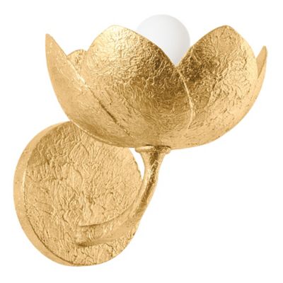 Arcata Wall Sconce