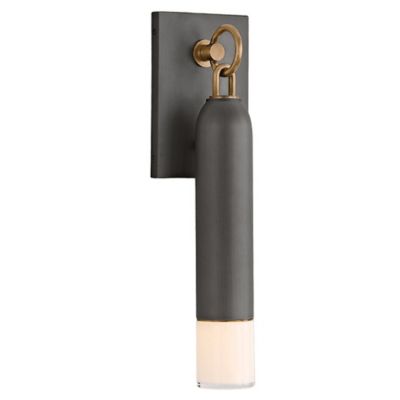 Osprey Outdoor Wall Sconce