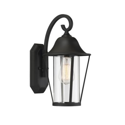 Serena Outdoor Wall Sconce