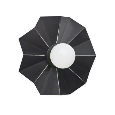 Solo 23507 Wall Sconce
