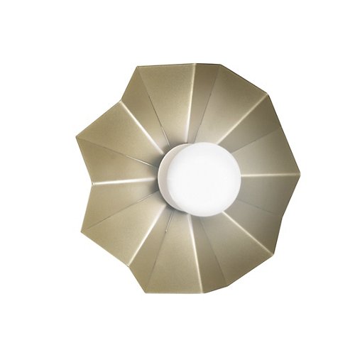 Solo 23507 Wall Sconce