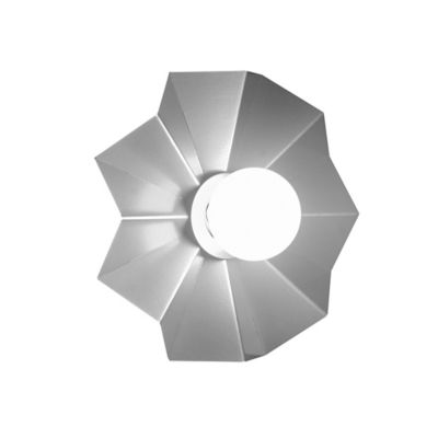 Solo 23507 Wall Sconce