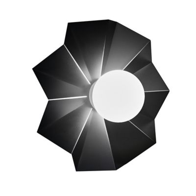Solo 23507 Wall Sconce