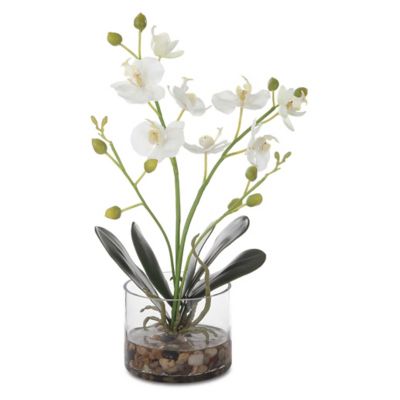 Glory Orchid Bouquet