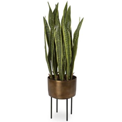Fasita Planter
