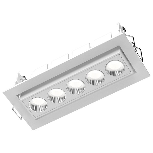 Fusion Adjustable LED Downlight