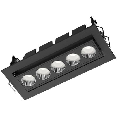 Fusion Adjustable LED Downlight