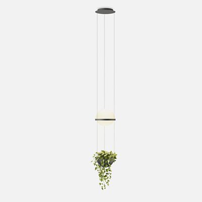 Palma 3724 Planter LED Pendant