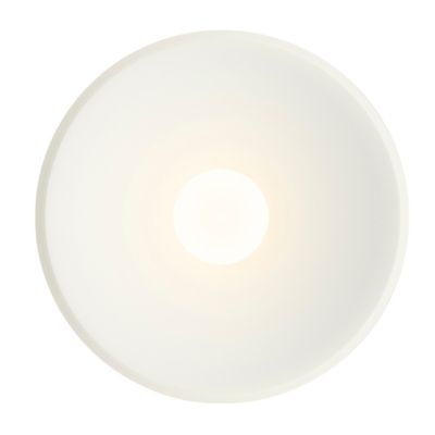 Top LED Wall Sconce/Flushmount