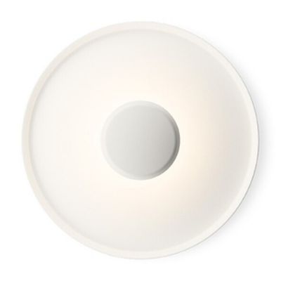 Top LED Wall Sconce/Flushmount