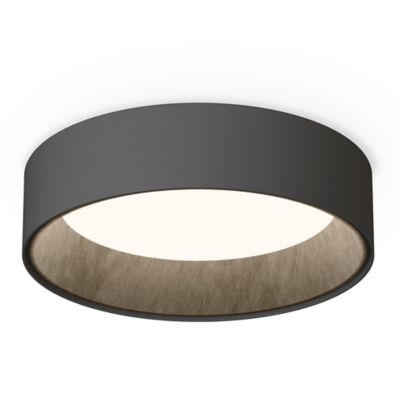 Duo Petra Surface LED Flushmount