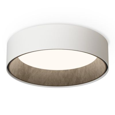 Duo Petra Surface LED Flushmount