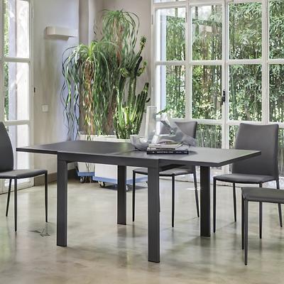 Dimitra Doubling Extendable Dining Table
