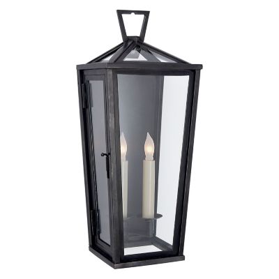 Darlana Outdoor Wall Sconce