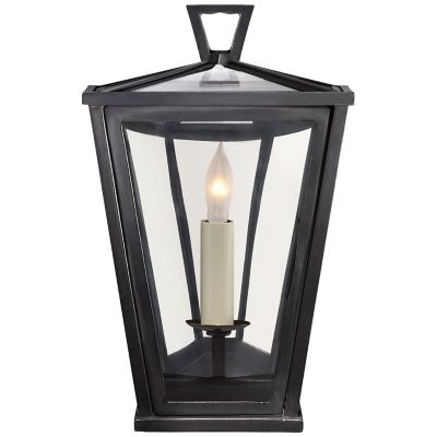 Darlana Mini Outdoor Wall Sconce