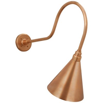Academy Angled Outdoor Savannah Conical Wall Sconce