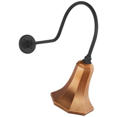 Academy Savannah Outdoor Wall Sconce