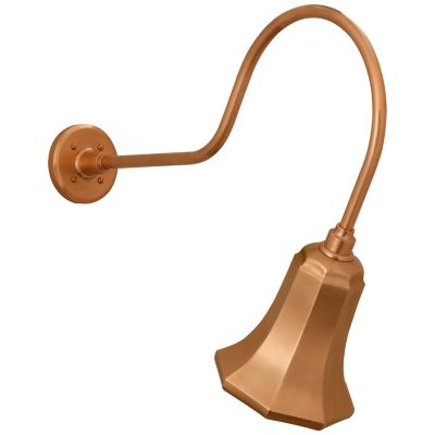 Academy Savannah Outdoor Wall Sconce