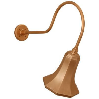Academy Savannah Outdoor Wall Sconce