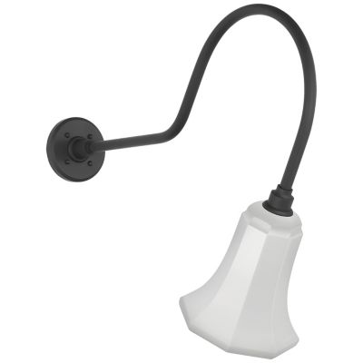 Academy Savannah Outdoor Wall Sconce