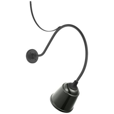 Academy Anchored Rockhouse Outdoor Wall Sconce