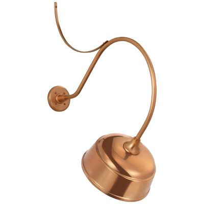 Academy Anchored Rockhouse Outdoor Wall Sconce
