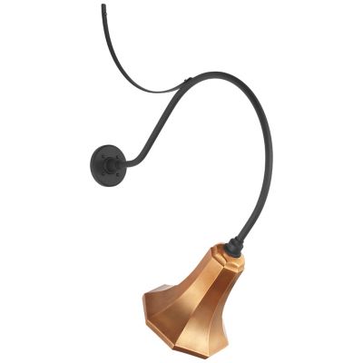 Academy Anchored Savannah Outdoor Wall Sconce