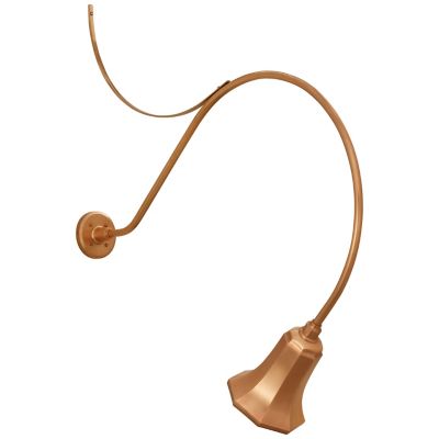 Academy Anchored Savannah Outdoor Wall Sconce