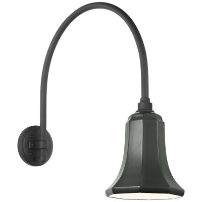 Academy Arched Savannah Outdoor Wall Sconce