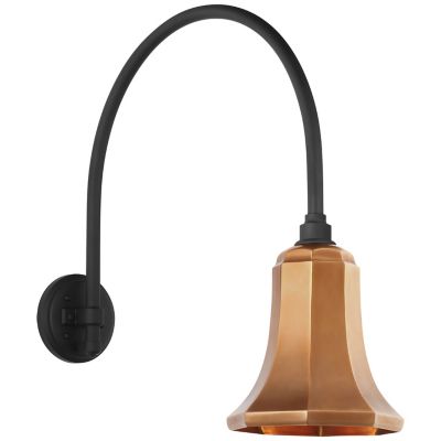 Academy Arched Savannah Outdoor Wall Sconce