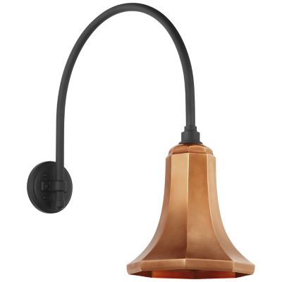 Academy Arched Savannah Outdoor Wall Sconce