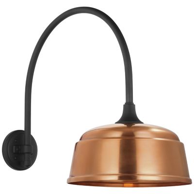 Academy Arched Rockhouse Outdoor Wall Sconce