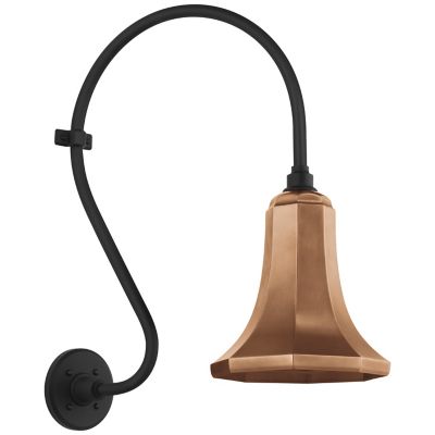 Academy Larabee Savannah Outdoor Wall Sconce