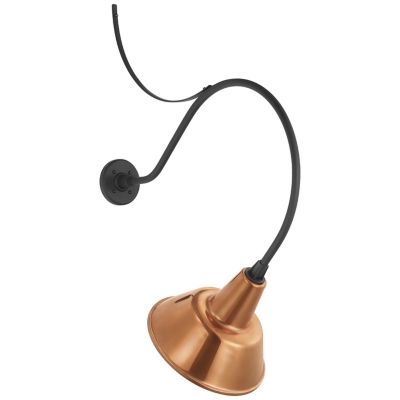 Academy Anchored Bowers Outdoor Wall Sconce