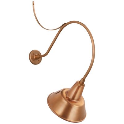 Academy Anchored Bowers Outdoor Wall Sconce