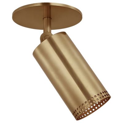 Precision LED Directional Monopoint Flushmount